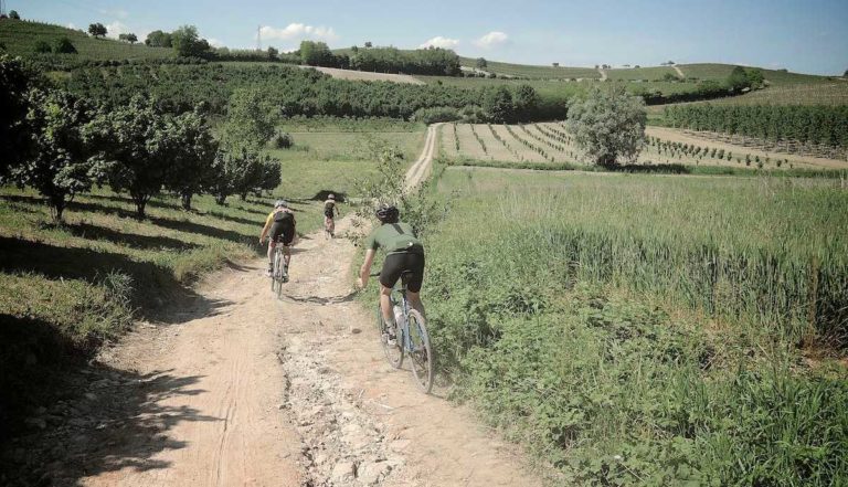 bikecafe vive il mondo delle biciclette