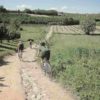 Allenarsi in bicicletta
