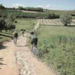Allenarsi in bicicletta