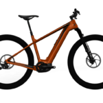 CANNONDALE  Trail Neo 1 2021