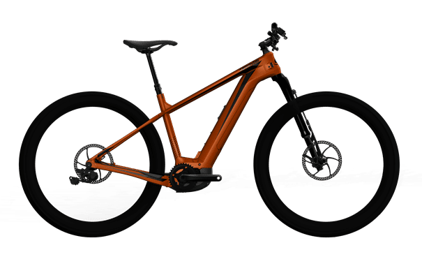 Cannondale 2021 Trail Neo 1