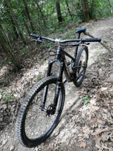 santa cruz tallboy v4 test 204