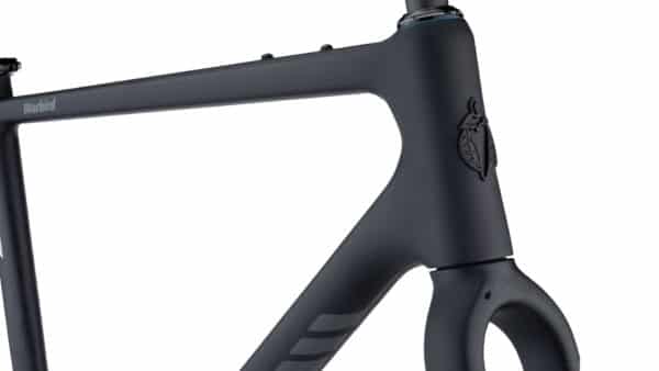 Salsa Warbird Frameset