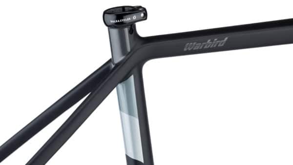 Salsa Warbird Frameset