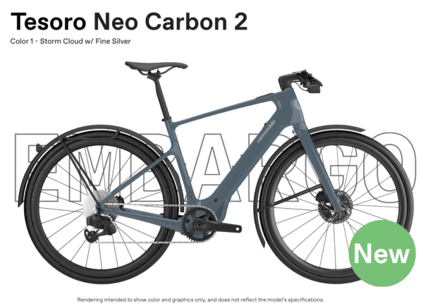 CANNONDALE TESORO NEO CARBON 2 2024