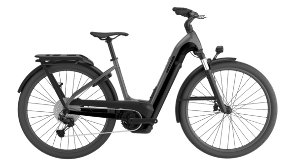 CANNONDALE Tesoro Neo X 1 LOW STEP TRUTH 2024