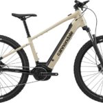 CANNONDALE TRAIL NEO 4