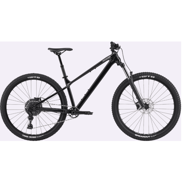 CANNONDALE HABIT HT 3 2025