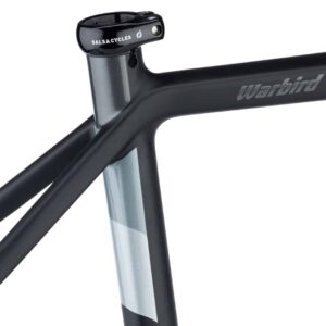 Salsa Warbird Frameset