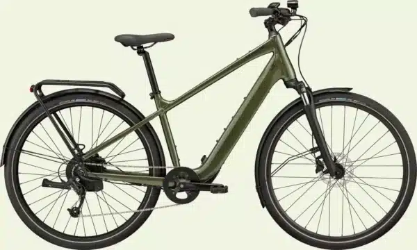CANNONDALE Mavaro Neo SL 2 2024