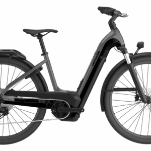 CANNONDALE Tesoro Neo X 1 LOW STEP TRUTH 2024