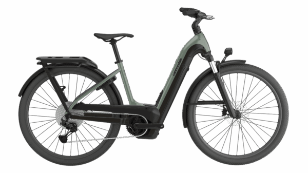 CANNONDALE Tesoro Neo X 1 LOW STEP TRUTH 2024 - immagine 2