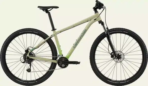 CANNONDALE Trail 8 2024