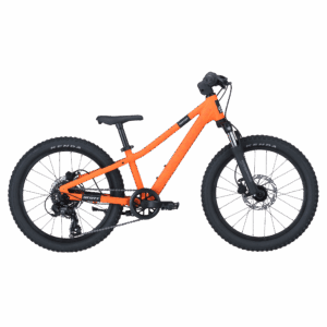 alt SCOTT ROXTER 200
