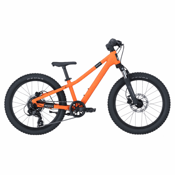 alt SCOTT ROXTER 200