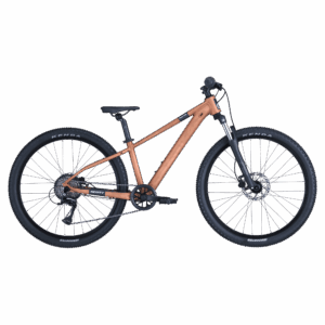 ALT scott roxter 600