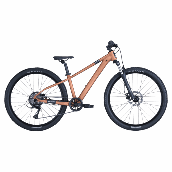 ALT scott roxter 600
