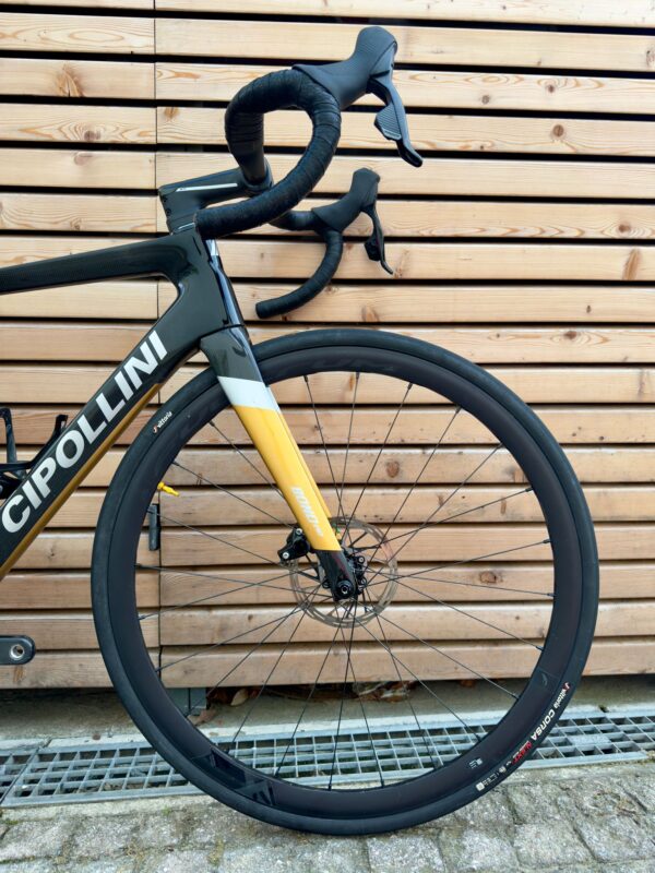 CIPOLLINI BOND2 DB MIS.L 2022 - immagine 2