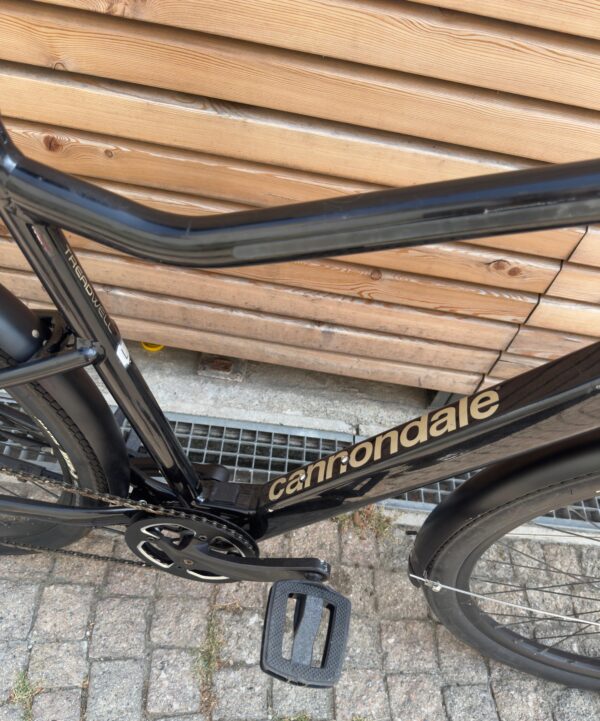 Cannondale Treadwell Neo eq mis.L 2023 - immagine 8