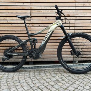 Giant  Reign E+ 2 Pro 2020 mis.l