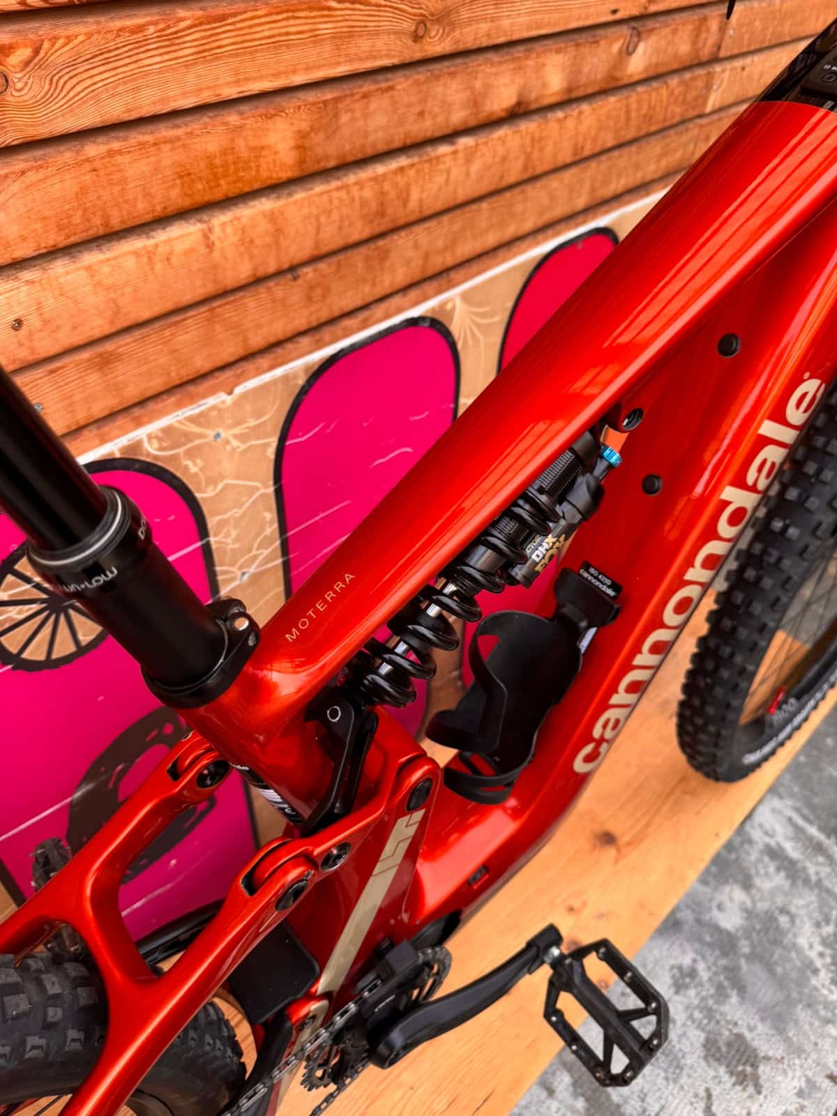 CANNONDALE Moterra LT1 MIS.M 2026 3